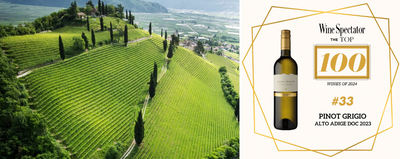 Breathtaking Alpine Bianco Elena Walch! Sub-$22, Rank #33 WS Top 100