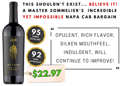 95pt Napa Cab $23 by Master Sommelier Ian Cauble - This Shouldn't EXIST!