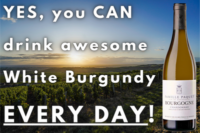 Yes! You CAN Drink White Burgundy EVERYDAY❗️Paquet's Incredible Bourgogne