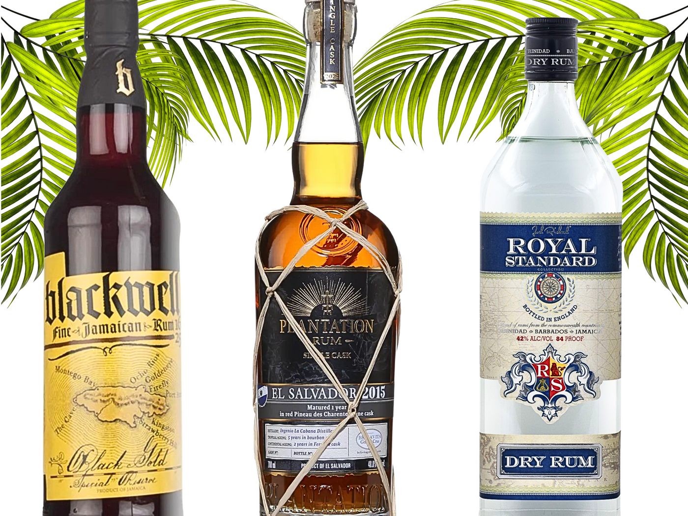 New Cult Rums 2025