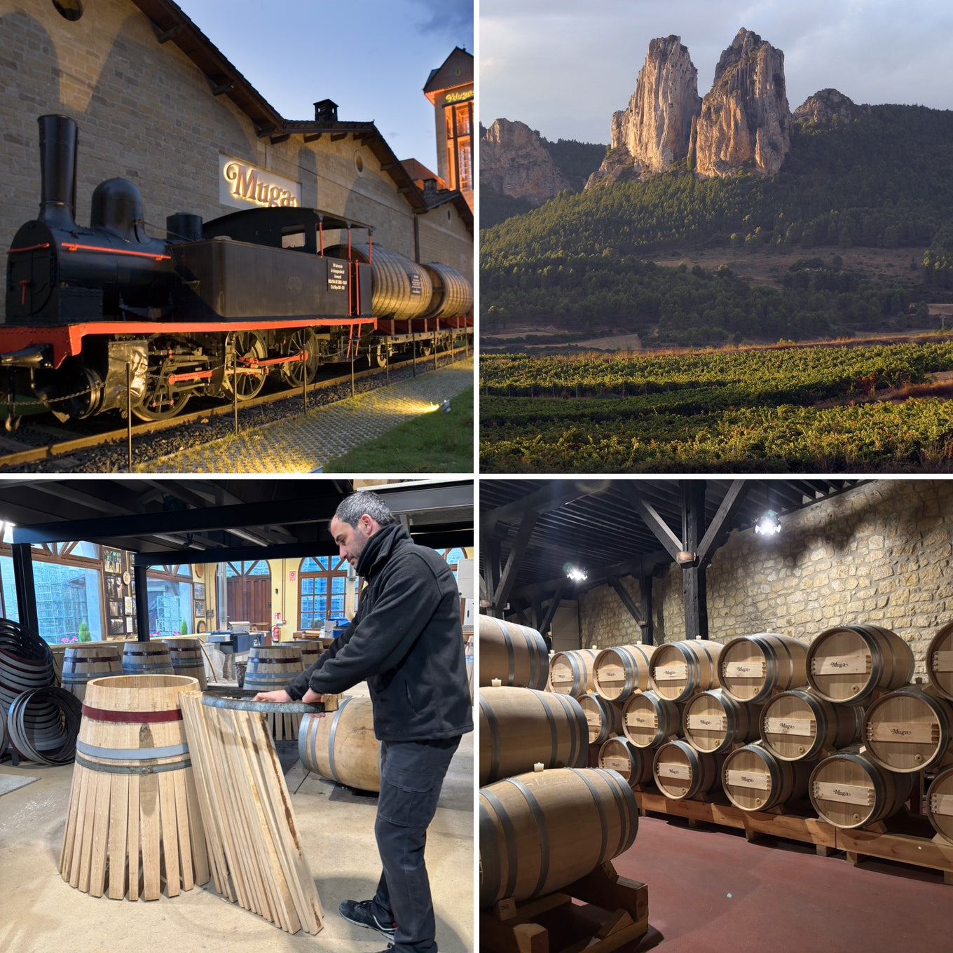 Bodegas Muga, Haro: the winery, the Sierra de Cantabria above the vineyards, a cooper at work, and the barrel cellar