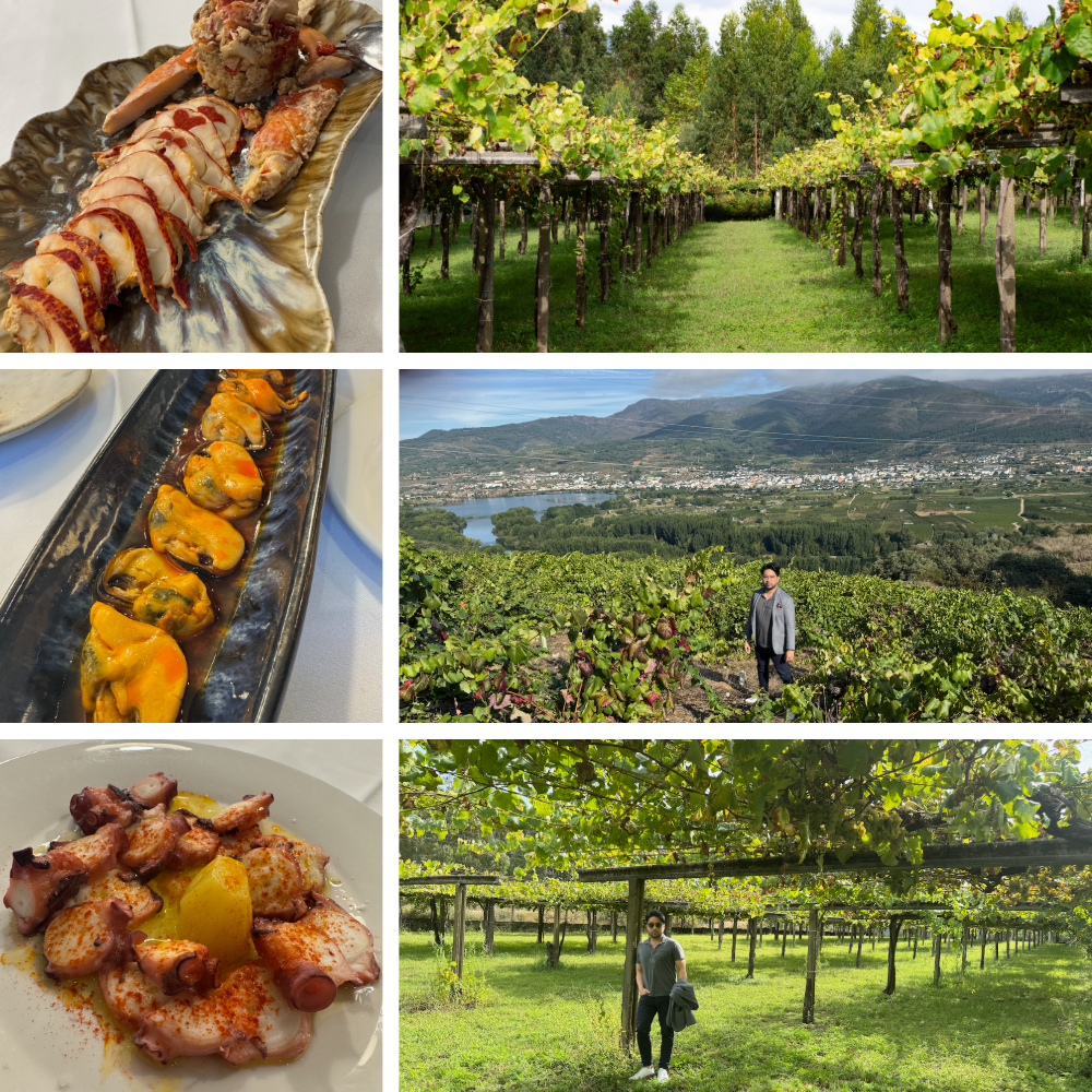 James Tran in the vineyards of Galicia, with plates of octopus, mussels and langoustines from the trip