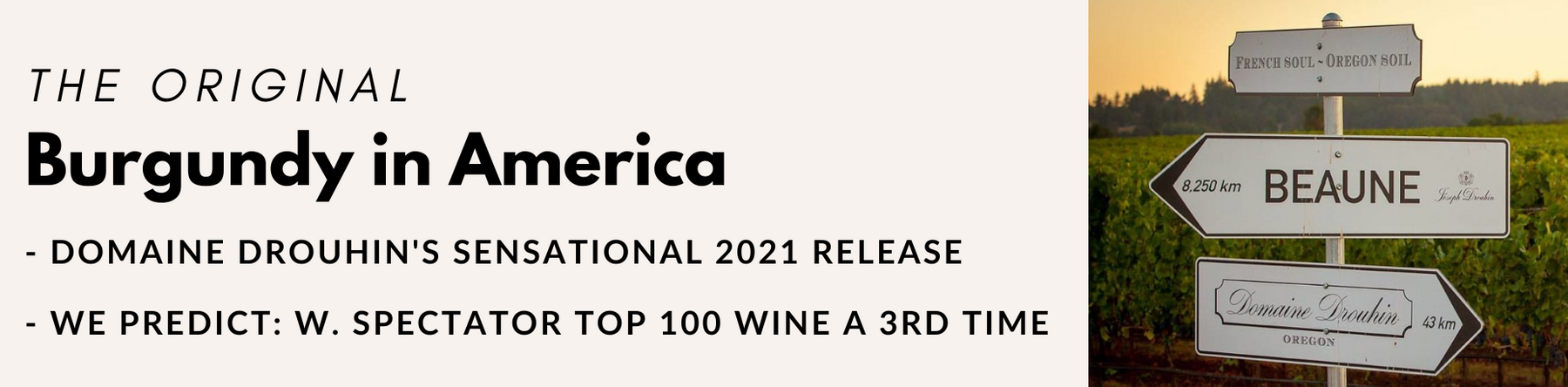 ROSEROCKHEADER_1800x1800 image