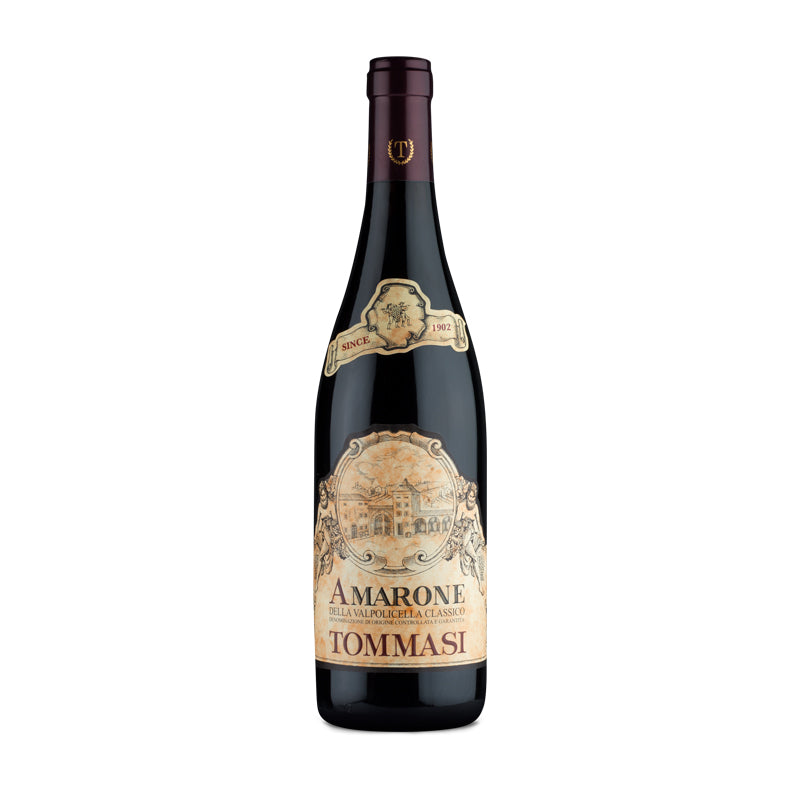 Tommasi Amarone della Valpolicella Classico DOCG 2019 (Veneto