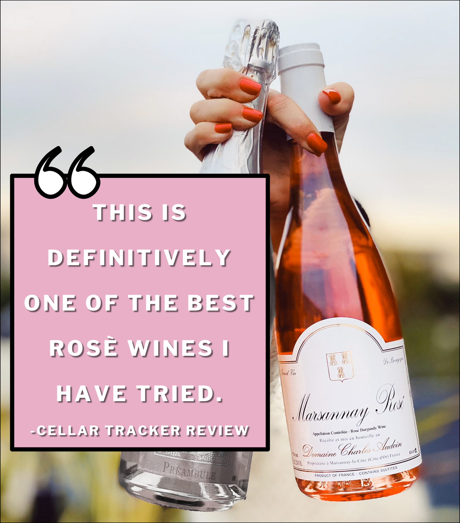 audoinmarsannayrose_370d6c0a-09bf-49cc-8479-242158868270_1800x1800 image