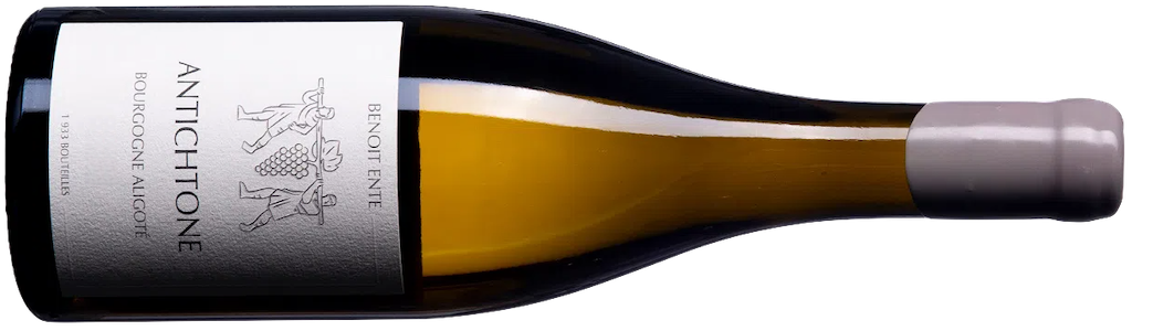 Domaine Benoit Ente Bourgogne Aligote Cuvee Antichone 2024 bottle