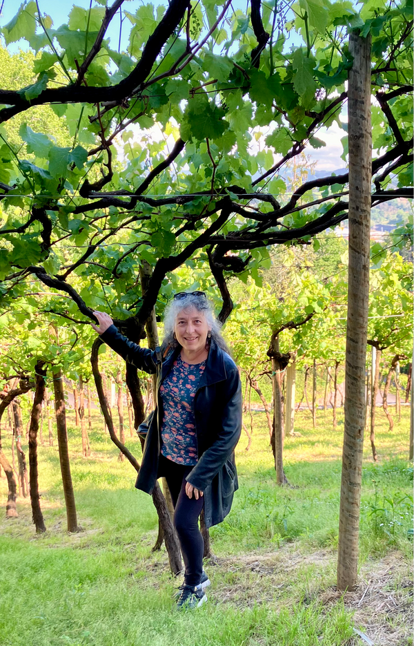 Barbara Rooks under the high-trained vines at Basa Lore, Zarautz