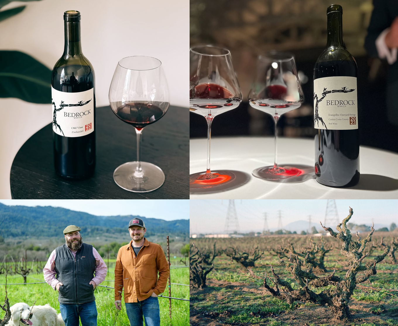 Bedrock Wine Co.: the Old Vine Zinfandel and Evangelho Heritage bottles, the winemakers in the vineyard, and gnarled old vines