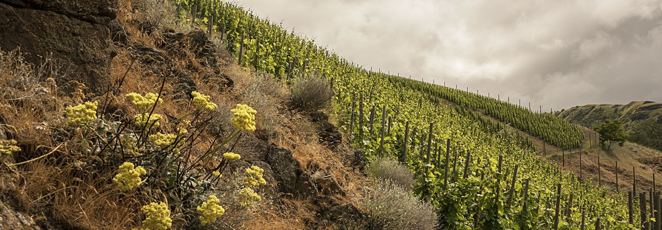 The steep fractured-basalt slope of Hors Categorie