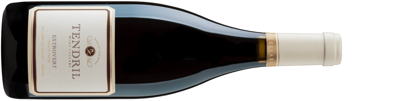 Tendril Extrovert Pinot Noir 2019 bottle