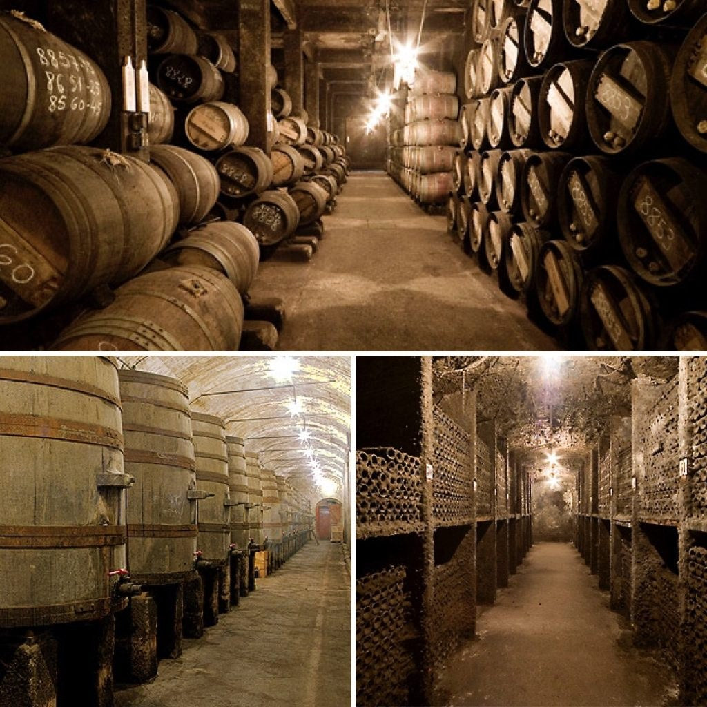 Lopez de Heredia cellars: rows of old barrels, the giant wooden vats, and the mold-covered bottle cellar